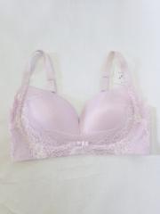 BRADELIS NEWYORK、D80～、ブラジャー
