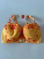 Triumph、E70、ブラジャー