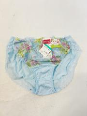 Wacoal wing、L（アンダーウェア）、ショーツ