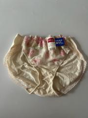 Wacoal wing、L（アンダーウェア）、ショーツ