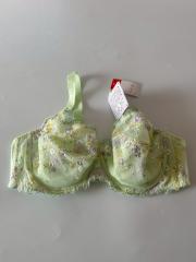 Triumph Solfege、D80～、ブラジャー