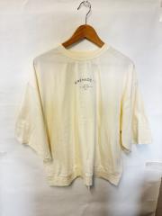 terawear emu、LLサイズ、Tシャツ