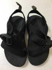 Chaco、16cm、サンダル・ミュール、その他、男女共用