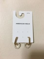 AMERICAN HOLIC