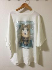 as know as、F（フリー）、Tシャツ