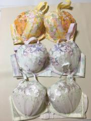 Triumph、E80～、ブラジャー