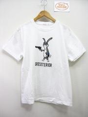 DRESSTERIOR、Mサイズ、Tシャツ