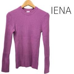 IENA