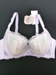 RED LABEL BY Triumph【D80】、D80～、ブラジャー