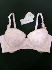 Triumph【D80】、D80～、ブラジャー