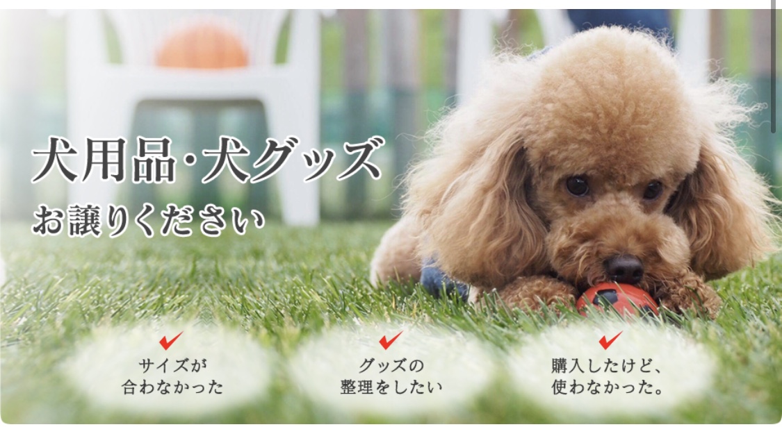 ドッグウェア 犬服 犬用品の買取ならお任せください ジュリア札幌店のドッグウェア 犬服 犬用品買取サービス