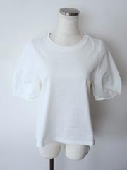 2024年製☆ NOLLEY'S、Mサイズ、カットソー