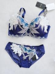店舗限定☆Wacoal Salute、Gカップ～、ブラ＆ショーツ