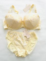 FLORALE BY Triumph、E80～、ブラ＆ショーツ