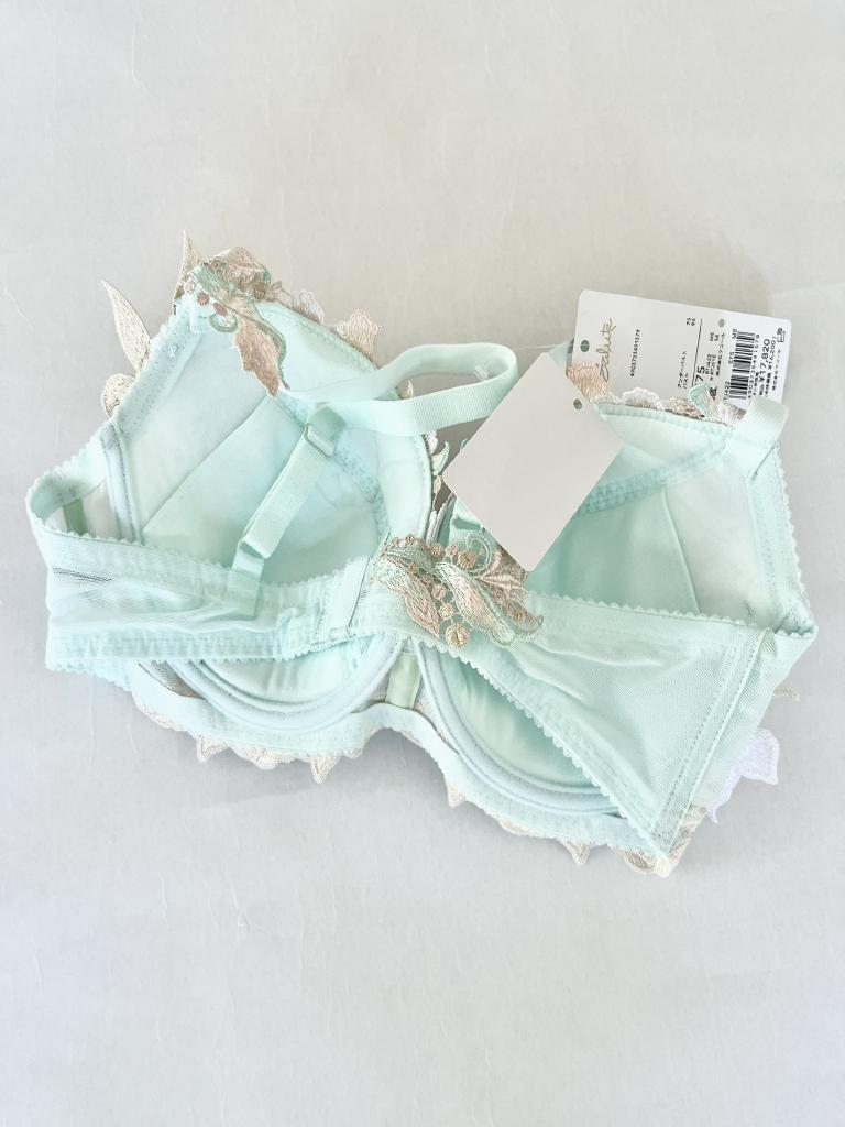 2025年製☆Wacoal Salute ブラ＆ショーツ E75 ジュリア札幌店｜2025年