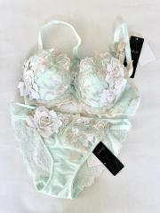 2025年製☆Wacoal Salute