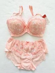 AMO'S STYLE by Triumph、E70、ブラ＆ショーツ