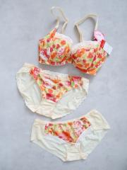 AMO'S STYLE by Triumph、E65、ブラ＆ショーツ