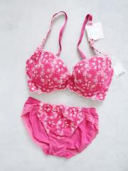 AMO'S STYLE by Triumph、E65、ブラ＆ショーツ