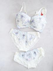 AMO'S STYLE by Triumph、F70、ブラ＆ショーツ