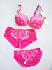 AMO'S STYLE by Triumph、E65、ブラ＆ショーツ