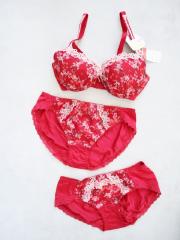 AMO'S STYLE by Triumph、D70、ブラ＆ショーツ