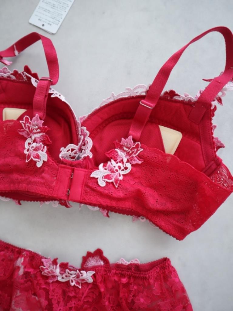 事前予約コレクション☆Wacoal Salute ブラ＆ショーツ E75 ジュリア