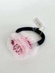 Jennifer Ouellette、その他、アクセサリー