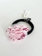 Jennifer Ouellette、その他、アクセサリー