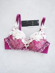 Wacoal Salute、D65、ブラジャー