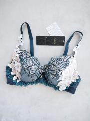 Wacoal Salute、D70、ブラジャー