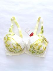 AMO'S STYLE by Triumph、Gカップ～、ブラジャー