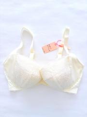 AMO'S STYLE by Triumph、Gカップ～、ブラジャー
