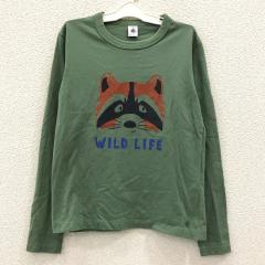 PETIT BATEAU、150cm、Tシャツ、綿、男の子用