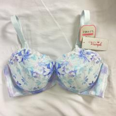 Triumph、D80～、ファッション雑貨・小物