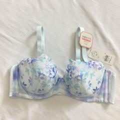 Triumph、D80～、ファッション雑貨・小物