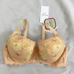 Triumph、D80～、ファッション雑貨・小物