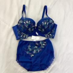 2024年製　RED LABEL by Triumph