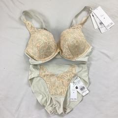 2025年製　Triumph