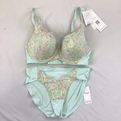 2025年製　Triumph