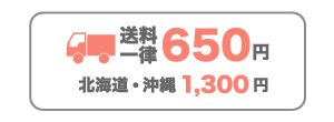 送料650円(北海道・沖縄1,300円)