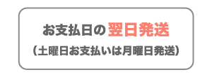 お支払日の翌日発送
