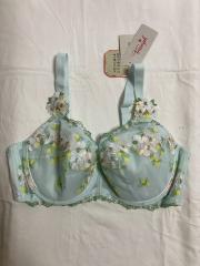 トリンプ（E85）、E80～、ブラジャー