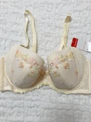 AMO'S STYLE by Triumph、E70、ブラジャー