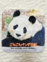 ごろごろパンダ日記