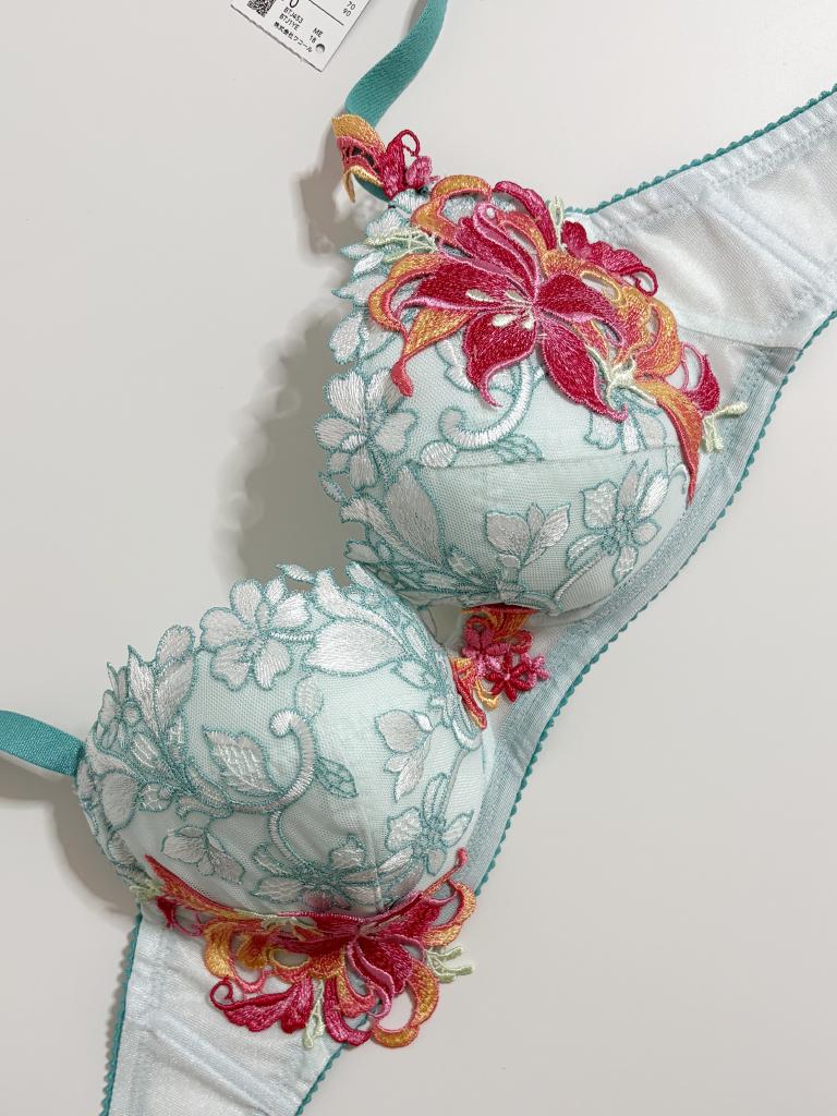 新品 美品 人気のWacoalのSaluteシリーズC70 M 新品 美品 人気のWacoalのSaluteシリーズC70 M 2025年最新】ワコール