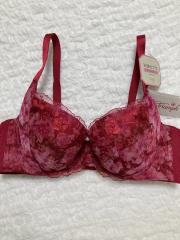 Triumph（C85）、C80～、ブラジャー