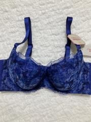 Triumph、D80～、ブラジャー