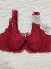 Triumph、D80～、ブラジャー