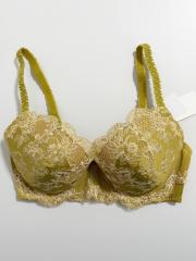 Wacoal Wing Lesiage、E70、ブラジャー